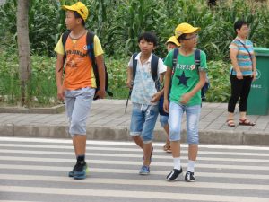 Walk This Way surveys 37 primary schools along BRT corridor July 2017